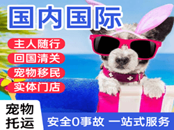 甘南夏河航空快递国际宠物托运 【国